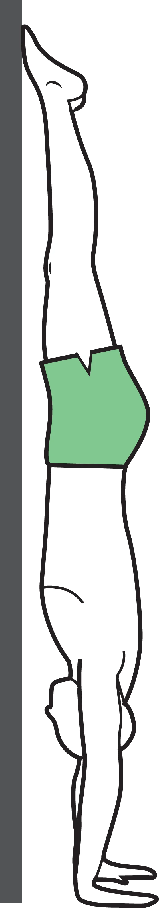 Stojka o zeď